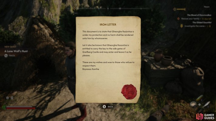 A Lone Wolf's Hunt