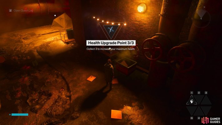 Health Upgrade Point