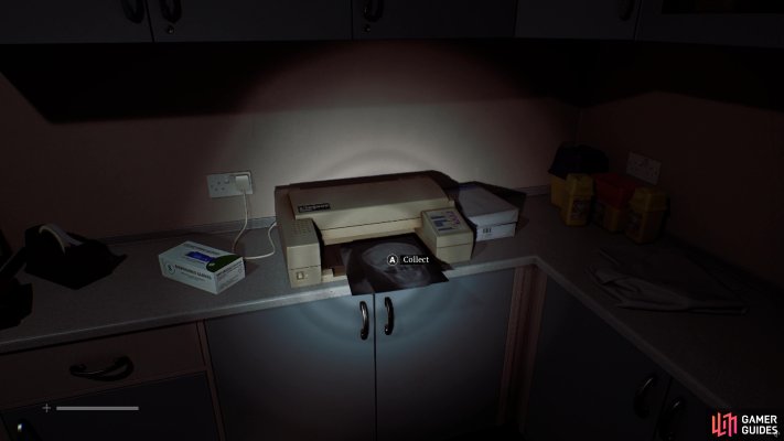 Obtain the Head and Chest X-Rays
