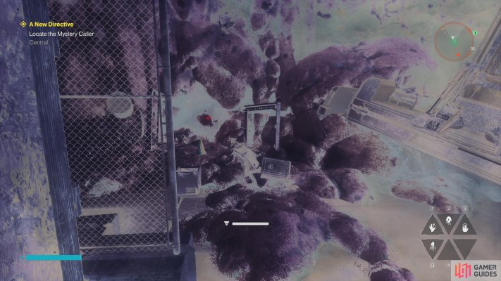 Camera (Freeze Frame)