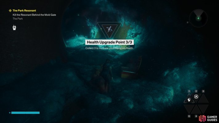 Health Upgrade Point