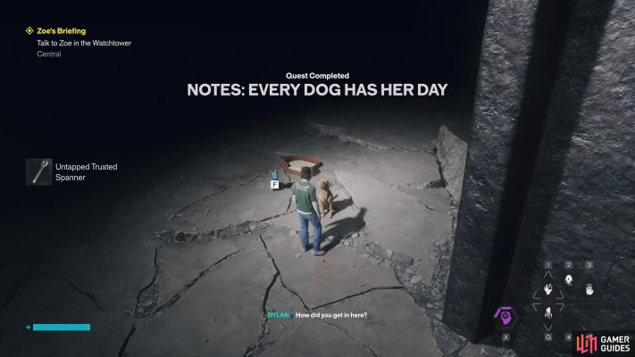 Quest Reward
