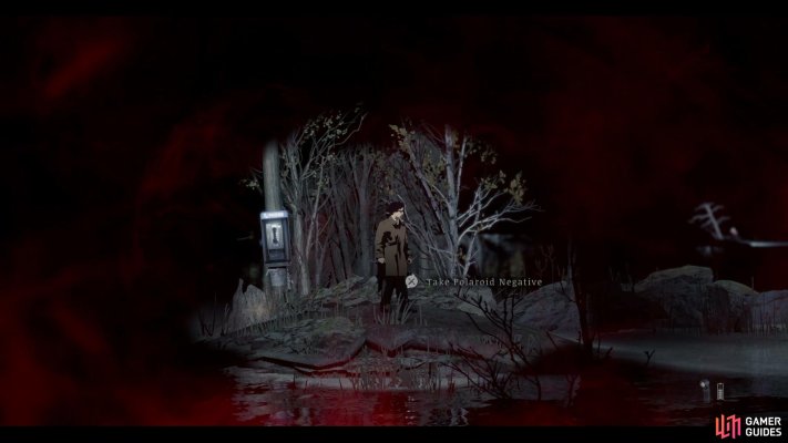 Polaroid Negative