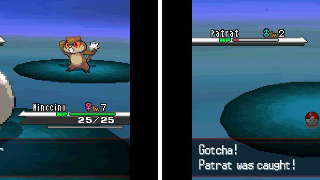 Having been educated in the art of Pokemon catching, be sure to try it out for yourself!