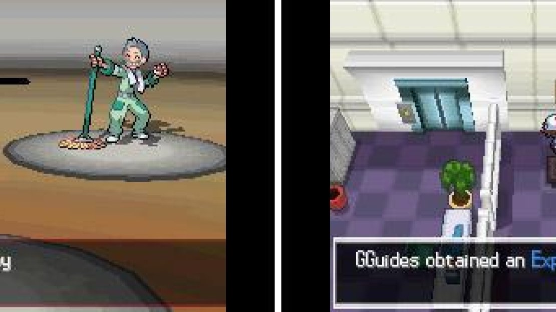 Got Pokemon lagging behind? Give them the Exp. Share so they can leech exp. efficiently.