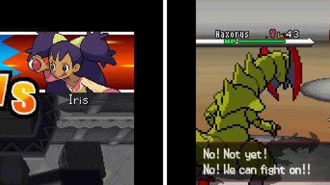The Leader is dependent which version of Black/White you’re playing. Either way, they use Dragon types.