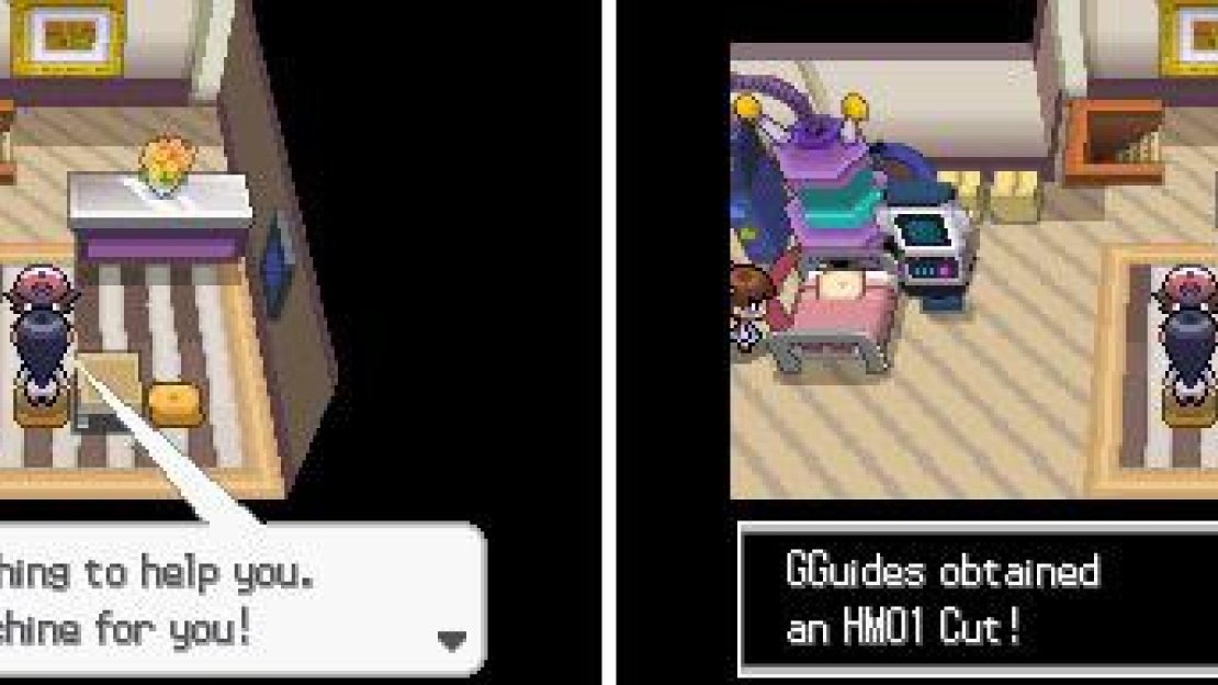 Open the TMs & HMs pouch in your bag to access this Hidden Machine.
