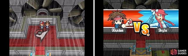 Skyla uses Flying-type Pok&eacute;mon.
