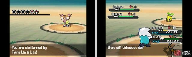 If you spot two trainers side by side, chances are it&rsquo;s a double battle waiting to happen. You can also encounter wild double battles in the dark grass.