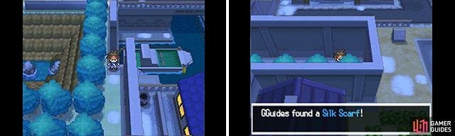 The Silk Scarf boosts the power of Normal-type moves. Not too shabby since Normal moves aren&rsquo;t super effective against anything.