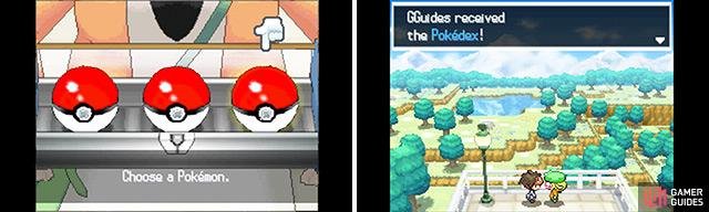 Two things every trainer needs: A Pok&eacute;mon and a Pok&eacute;dex.
