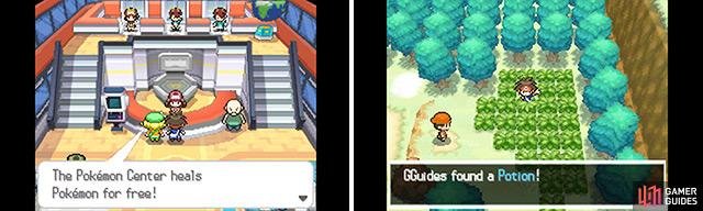 It doesn&rsquo;t matter how you do it, just be sure to heal your Pok&eacute;mon every now and again.