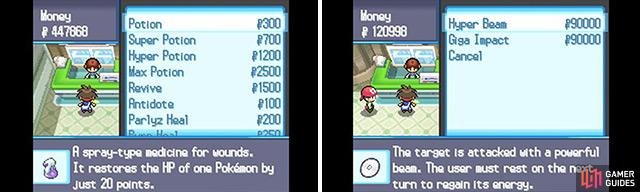 There are a lot of nice items for sale, but watch your wallet! In particular, the TMs are rather costly, but you can&rsquo;t get them anywhere else&hellip;
