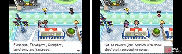 Visit the Move Tutors across Unova to give yourself a delicious edge in battle.