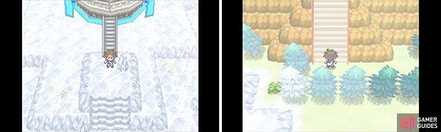 The final showdown is nigh… Ensure your Pokemon are ready for anything!