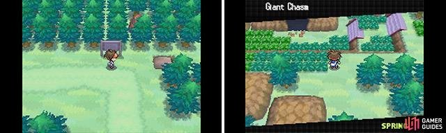 Provided you used the Giant Chasm&rsquo;s Route 13 entrance earlier, getting back there should be quick.