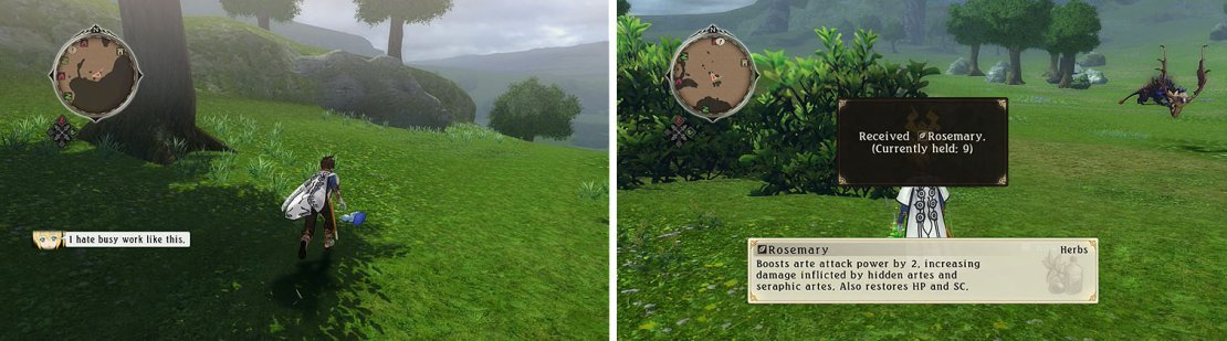 Check the Meadow&rsquo;s outskirts for the Normin Gaine and some herbs.