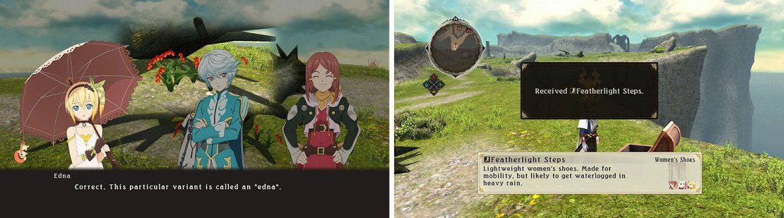 Don&rsquo;t miss the orchids at the base of the tree (left) and the chest behind it (right).