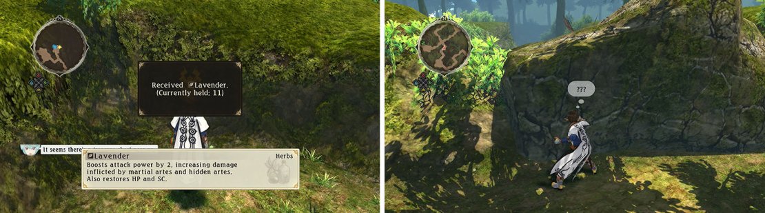 Break the boulders to find a dead end with a gold chest and Lavender (left). The remainder of the boulders can be removed for shortcuts (right).
