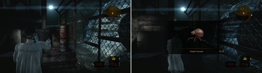 Come here and get the Larvae before trying to escape. Otherwise the Revenants won&rsquo;t give you a chance.
