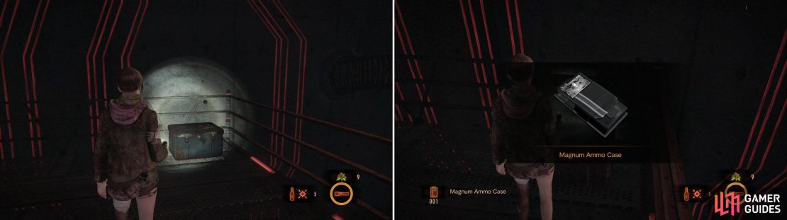 A case for more Magnum bullets&hellip; when there are no more enemies around. Why?