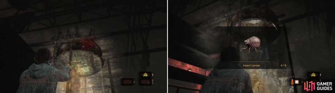 You&rsquo;ll be killing the Revenant as you get the Larvae. Everything has a price no?