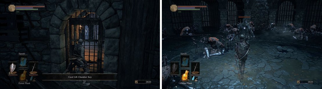 Unlock the gate in High Wall of Lothric to find the Darkwraith.