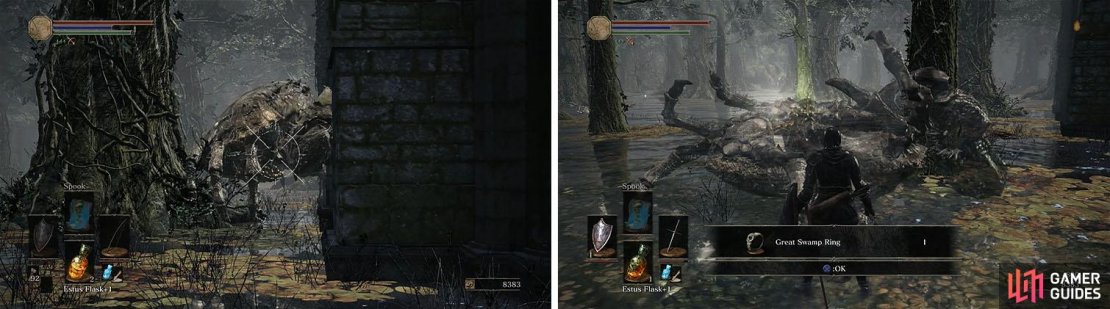 Use the choke point to defeat the Giant Crab for the Great Swamp Ring.