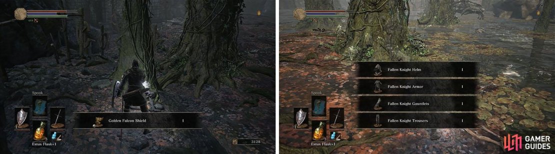 Grab the shield on the ledge and the Fallen Knight Armor by the water.