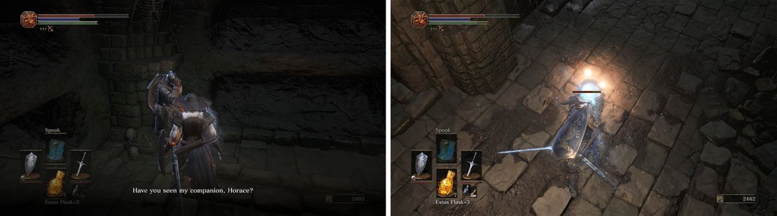 Speak with Anri and then exit the tunnel and kill the Crystal Lizard nearby.