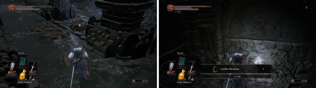 Avoid the Rotten Flesh that fall from the ceiling and collect the Carthus Bloodring.