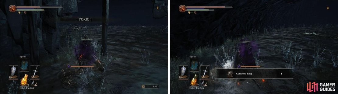 Its impossible to avoid the toxic swamp if you want to collect the items nearby.