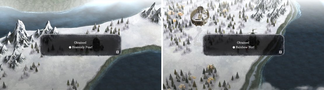 Once you get the airship, you&rsquo;ll be able to find some rarer ingredients on various islands.