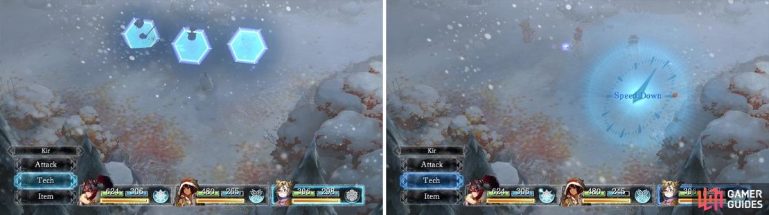 Protect is a great skill to have against physically attacking enemies (left). Slow makes sure enemies get in fewer turns (right).