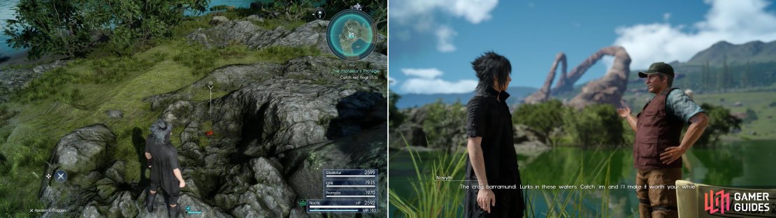 Hunt for Sania’s red frogs in the search area near Neeglyss Pond - their croaks will give them away (left). Talk to Navyth to enter into a friendly fishing competition (left).