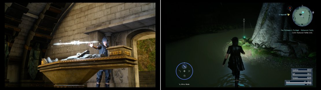 Claim the Star of the Rogue from the sarcophagus within the Tomb of the Rogue (left). Wait until night and you&rsquo;ll be able to easily hunt down the Myrlwood Fireflies Sania wants (right).