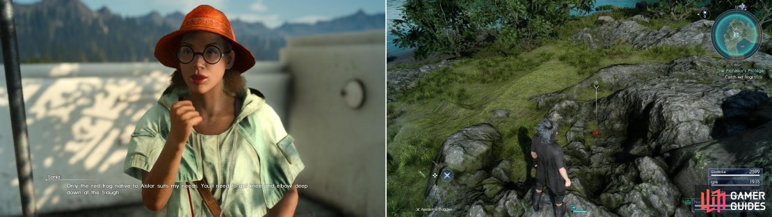 For wasting her time, Sania demands that you find her some red frogs - for science! (left) You&rsquo;ll find the frogs along the south-eastern shore of Neeglyss Pond (right).