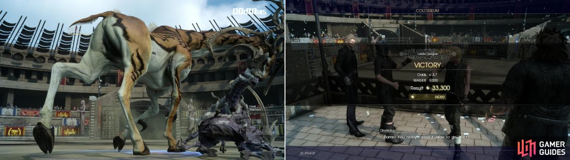 If the monster you bet on wins its fight (left) you&rsquo;ll get a reward equal to the number of medals you gambled, multipled by the odds (right).