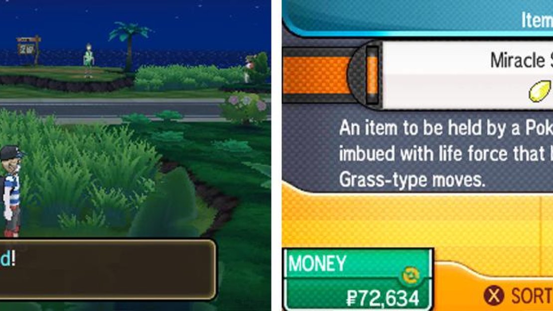 Useful for Grass-types before you get Grassium Z.