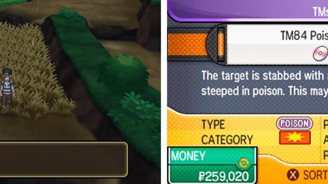 Useful for nailing Grass and Fairy-types.