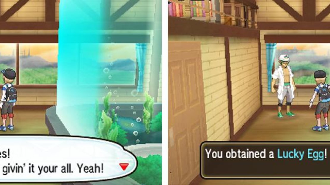Have a Pokemon hold the Lucky Egg to earn 50% more experience points.