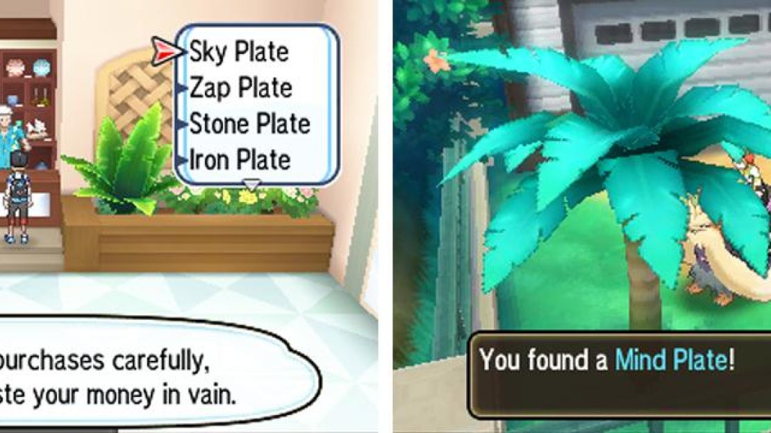 The plates can be given to Pokemon besides Arceus too.