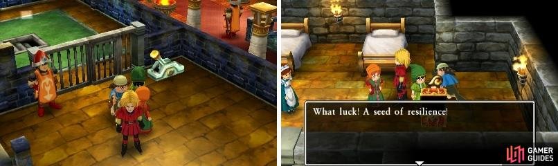 You might need to rotate the camera to see the switch to open the dungeon&rsquo;s cell door (left). More seeds is always a good thing (right).