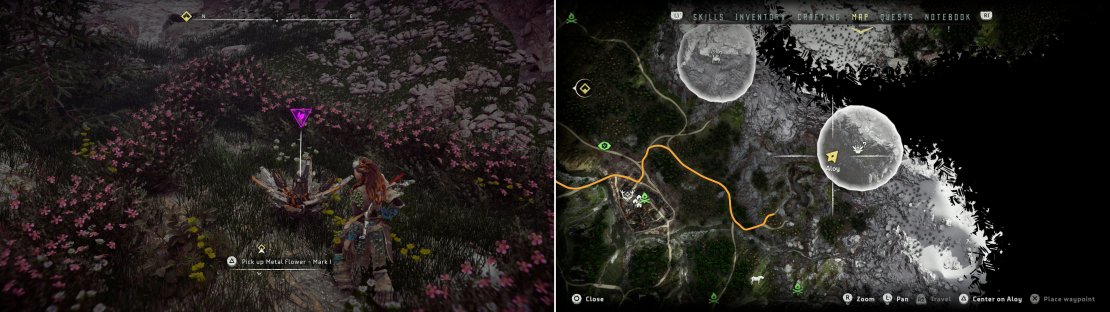 Search near the cultist camp to find Metal Flower - Mark I (D) (left), at the location indicated on the map (right).