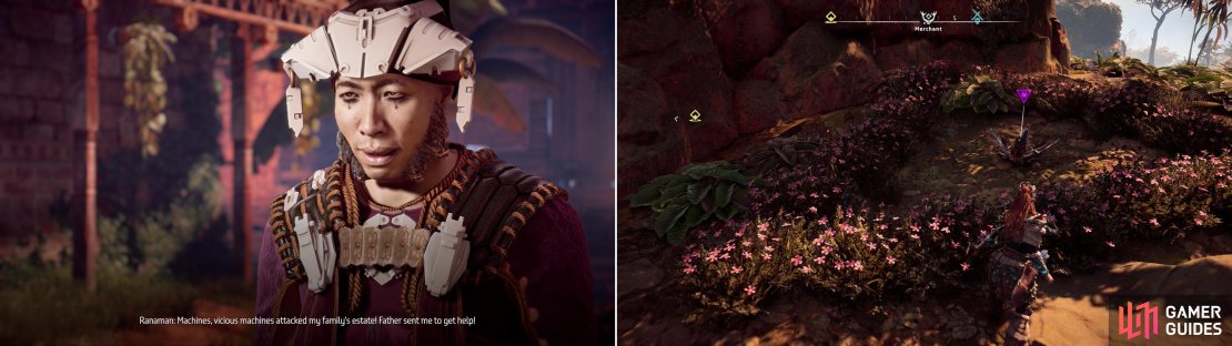 Ranaman is desperate to solicit whatever aid he can (left). On the way to his father&rsquo;s estate you can pick up Metal Flower - Mark III (E) (right).
