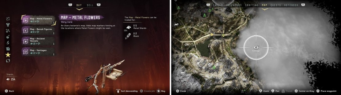 You can purchase collectible maps at a vendor (left) to have them give you a general location on your map (right).