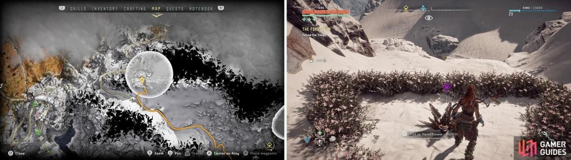 The location of Metal Flower - Mark III (C) on your map (left) and in the game (right).