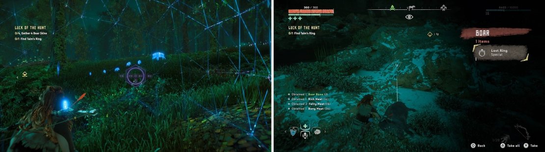 There will be a lot of boars at the one area (left). You will find the ring on a boar carcass (right).