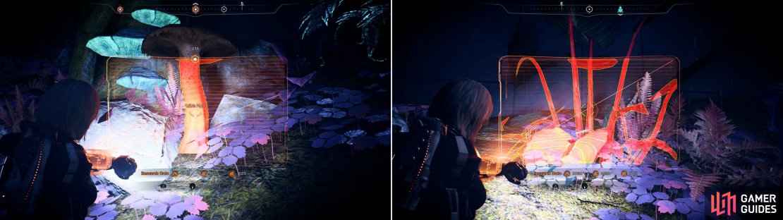 Scan some mushrooms (left) and some fibrous stalks (right) to catalogue more edible plants.