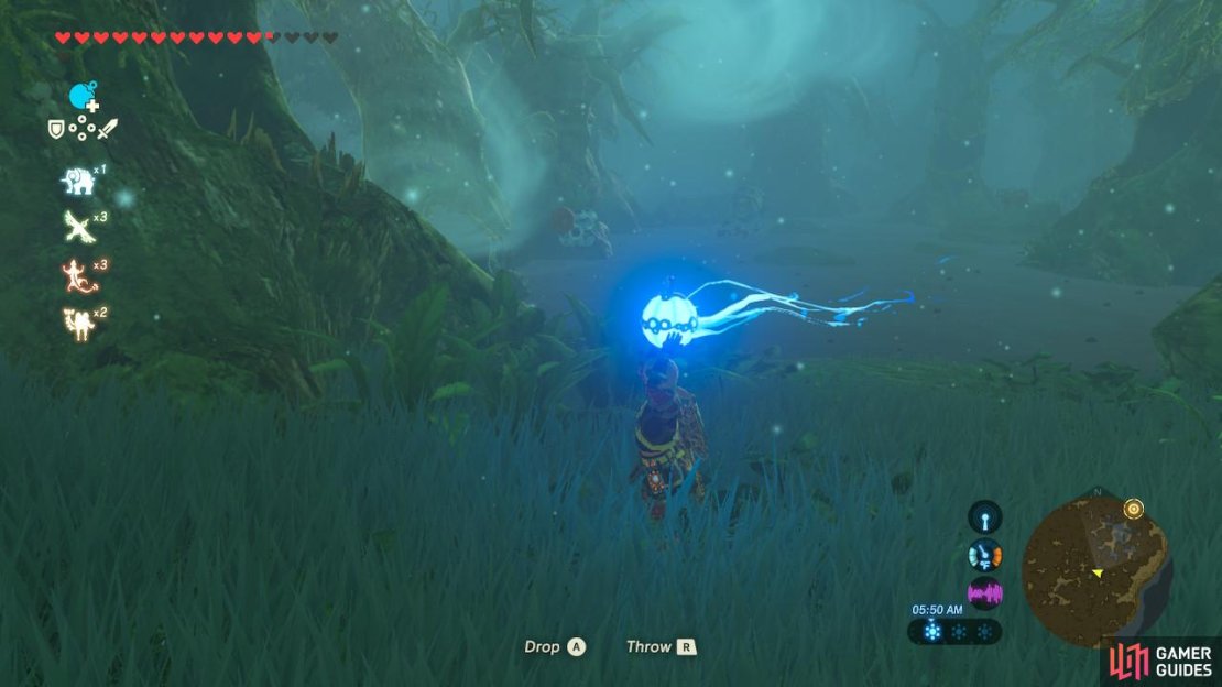 See the Octorok in the distance? You&rsquo;ll want to use your Bow to shoot it (not a Bomb!)